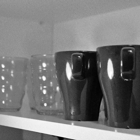 Wojcik Loft Apartment *