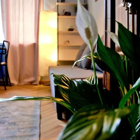 Wojcik Loft Apartment *