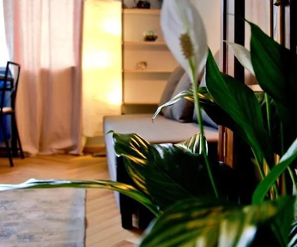 Wojcik Loft Appartamento *